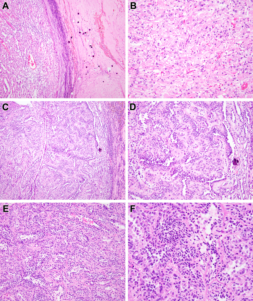 Figure 6: