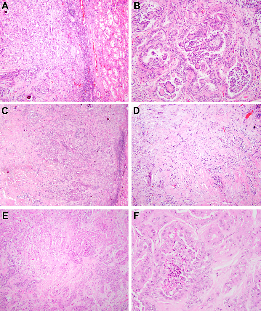 Figure 7: