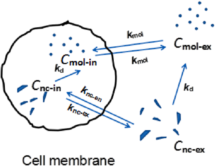 Figure 2