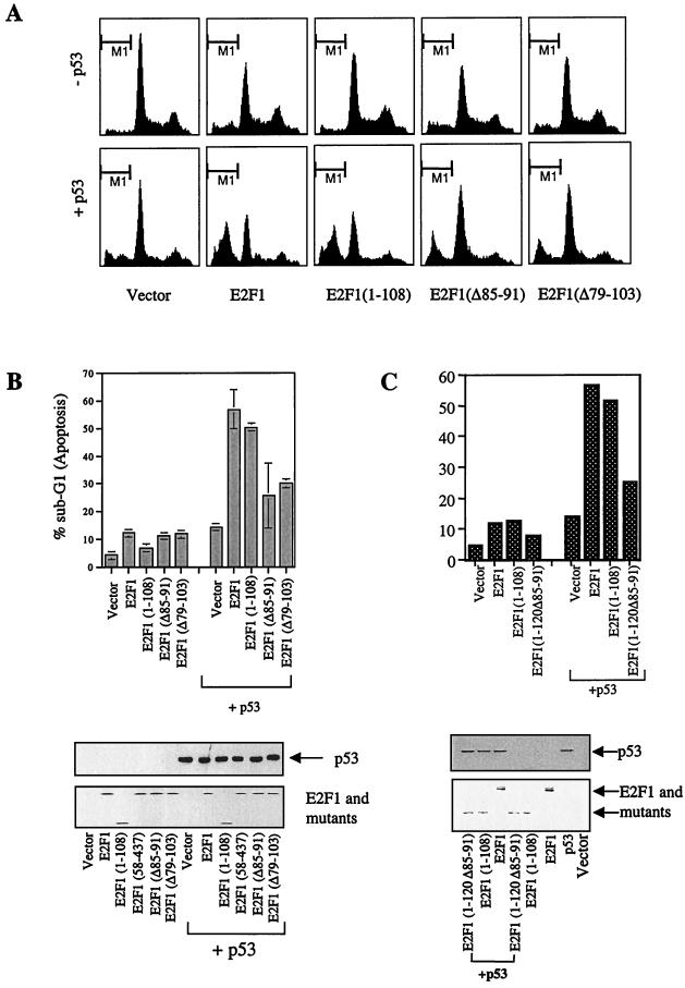 FIG. 2.