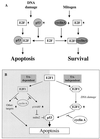 FIG. 8.
