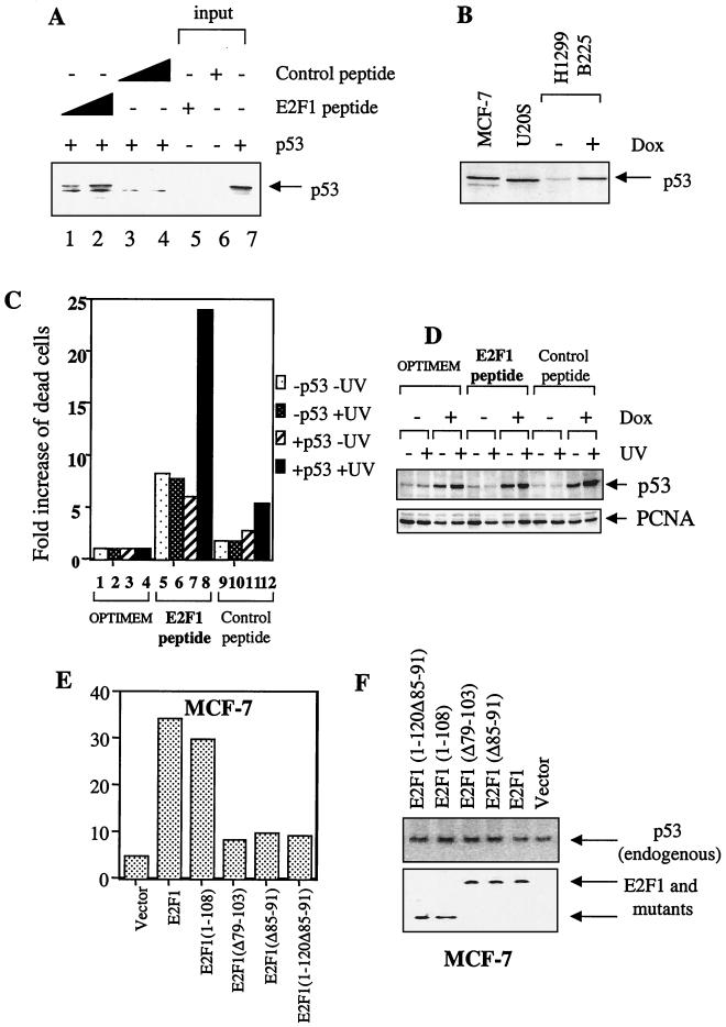 FIG. 7.