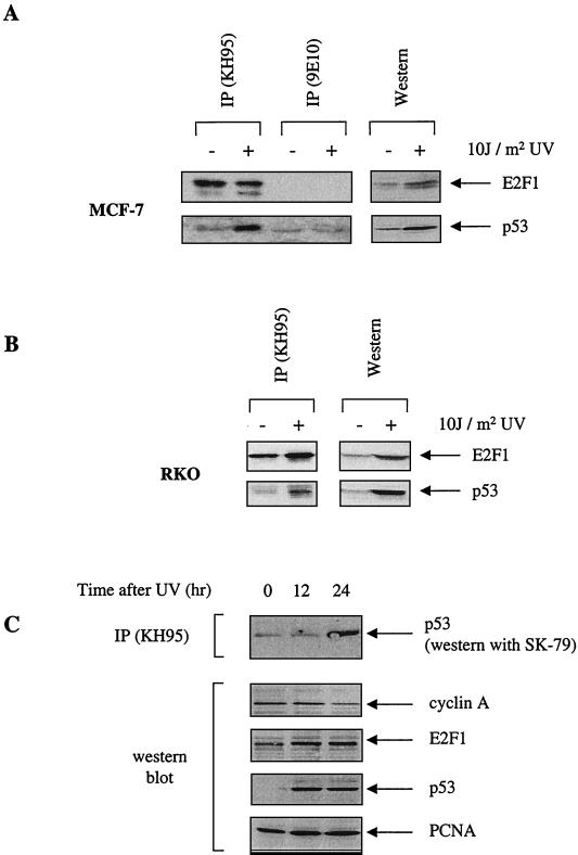 FIG. 6.