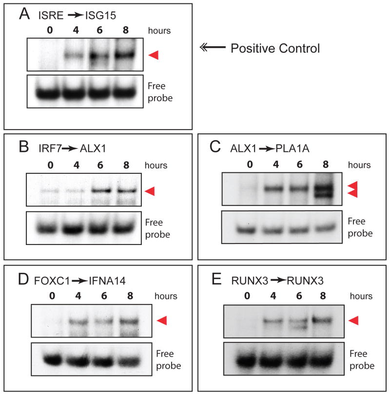 Figure 7