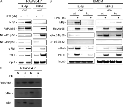 Figure 6.