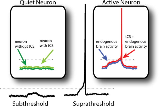 Figure 1A