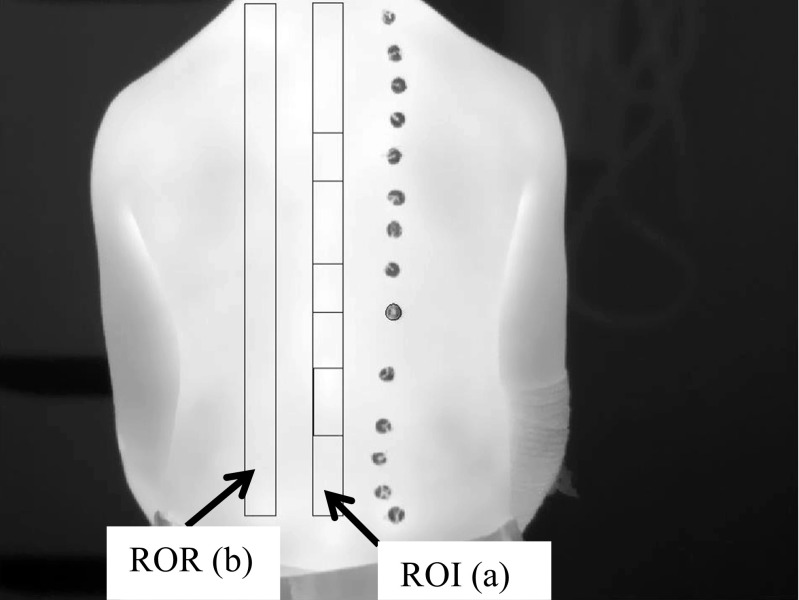 Fig. 7