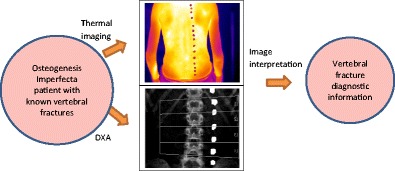 Graphical abstract