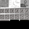 FIG 1
