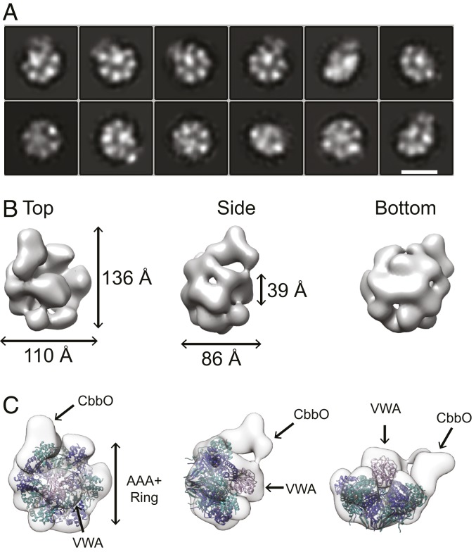 Fig. 2.