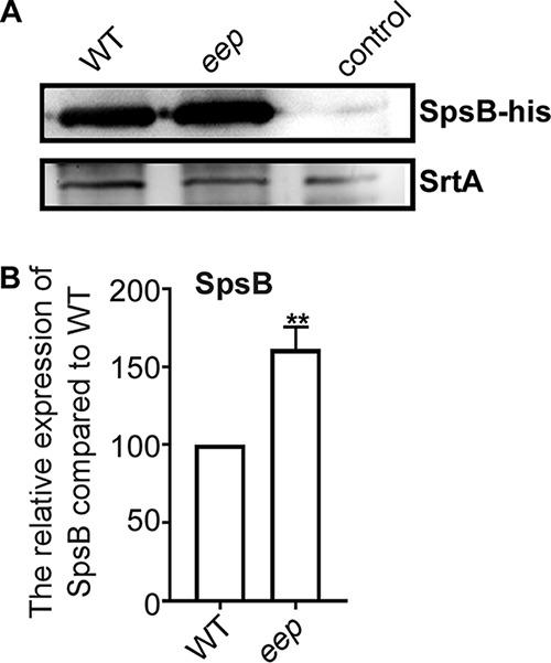 FIG 3