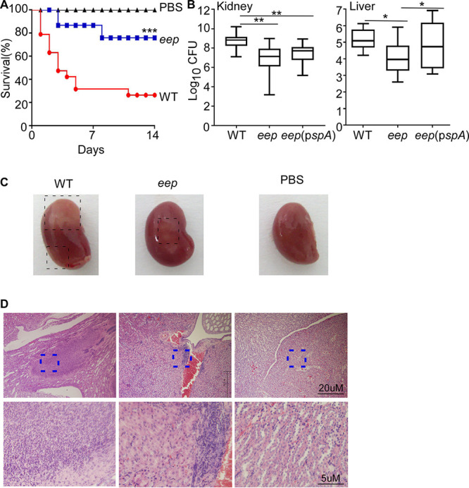 FIG 7