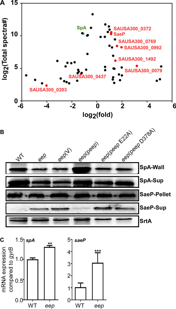 FIG 4