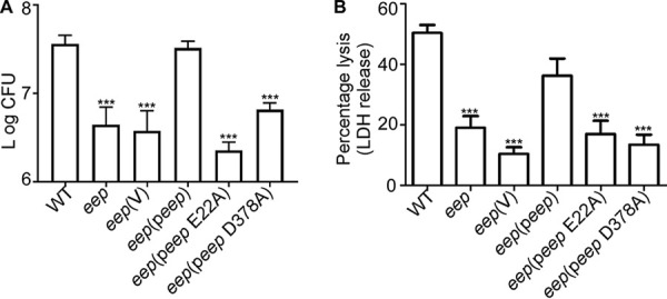 FIG 6