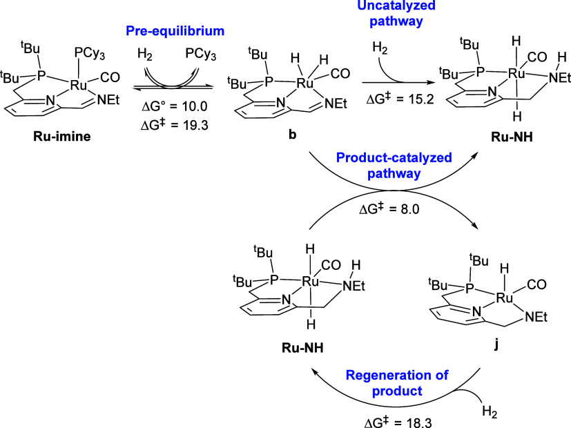 Scheme 4