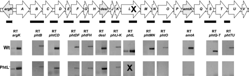 FIG. 7.