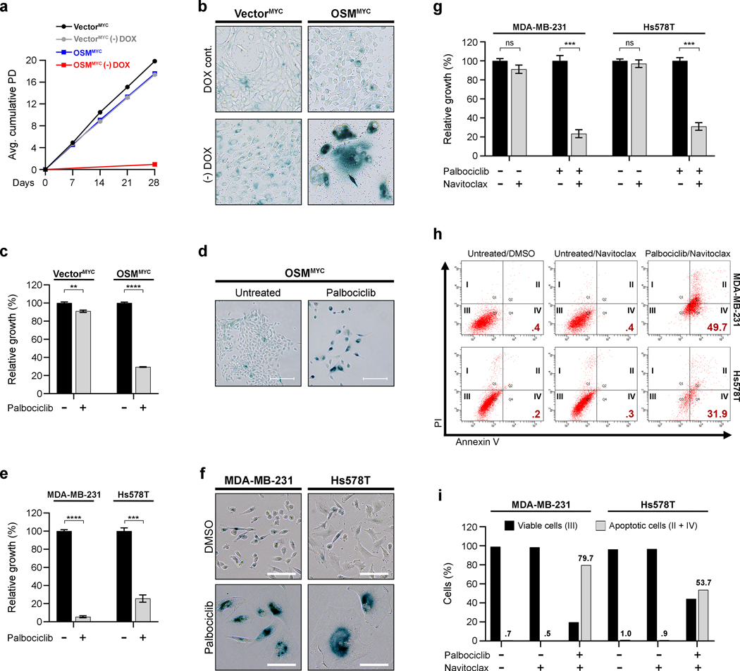 Fig. 6: