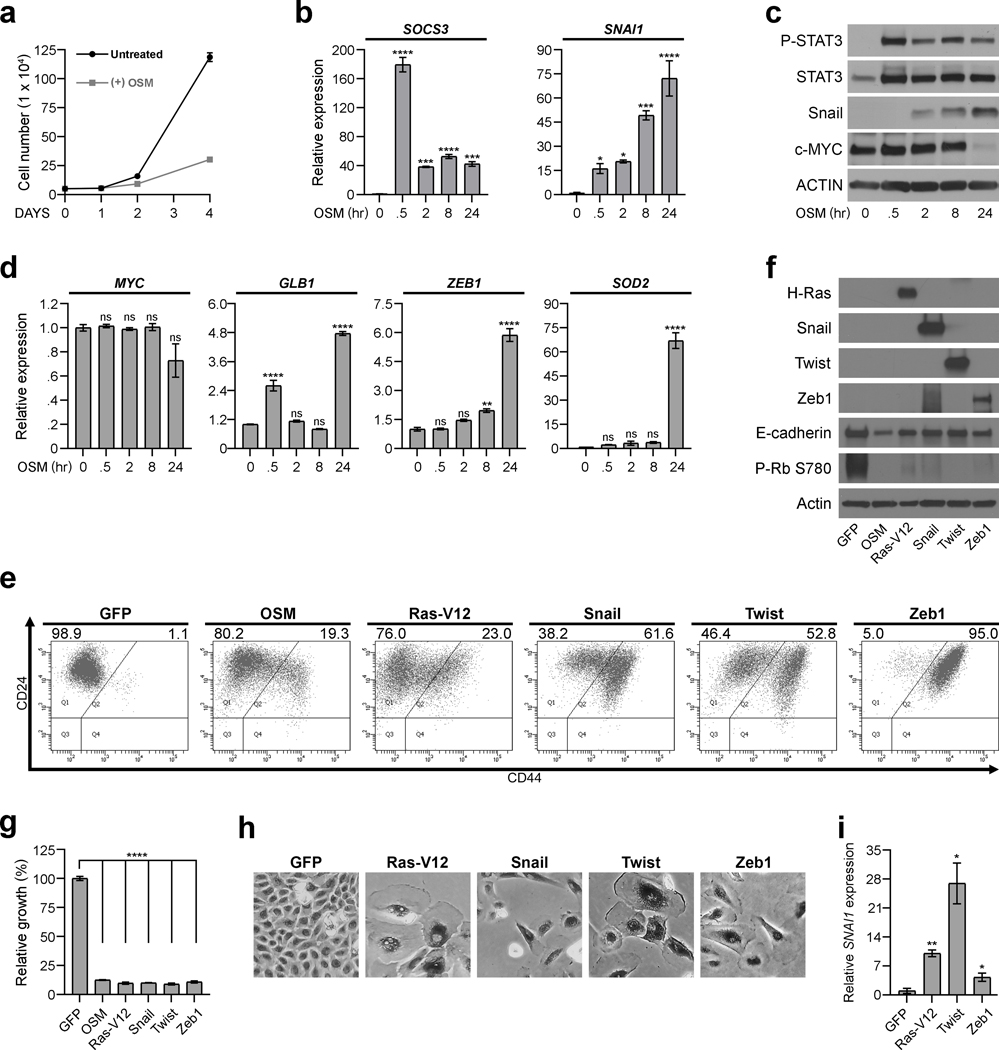 Fig. 3: