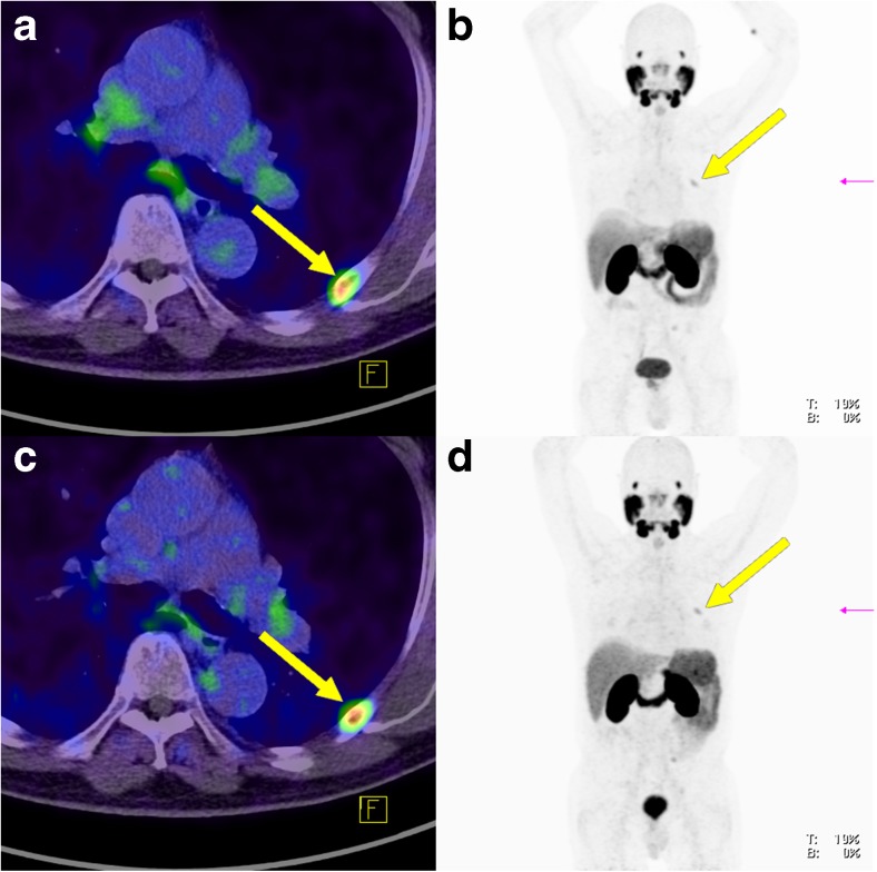 Fig. 8