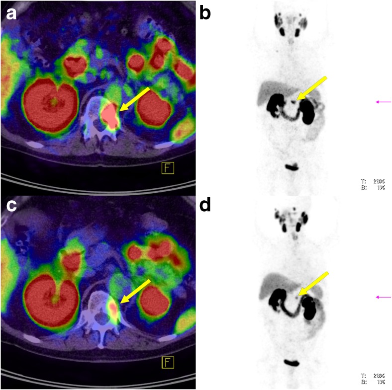 Fig. 6