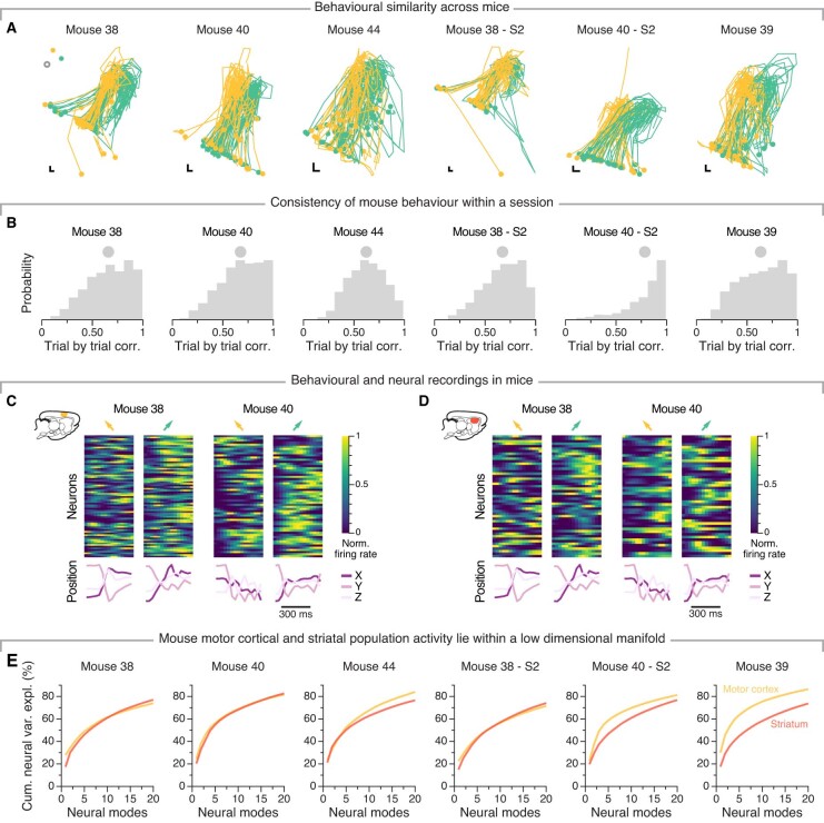 Extended Data Fig. 5