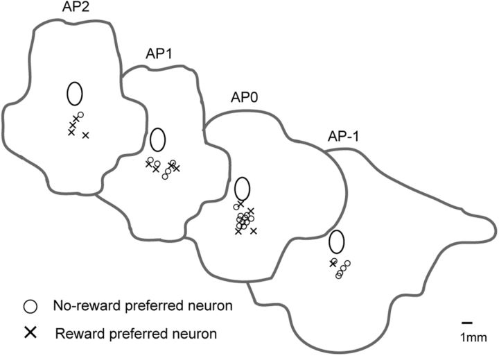 Figure 13.