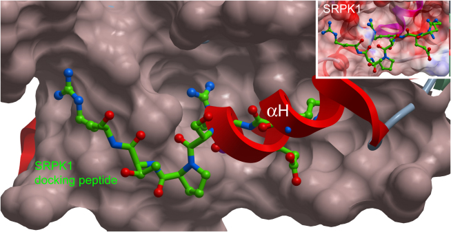 Figure 4