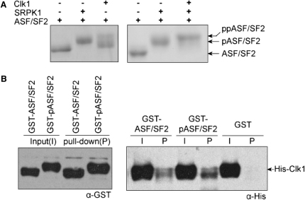 Figure 6