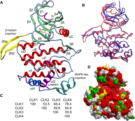 Figure 1