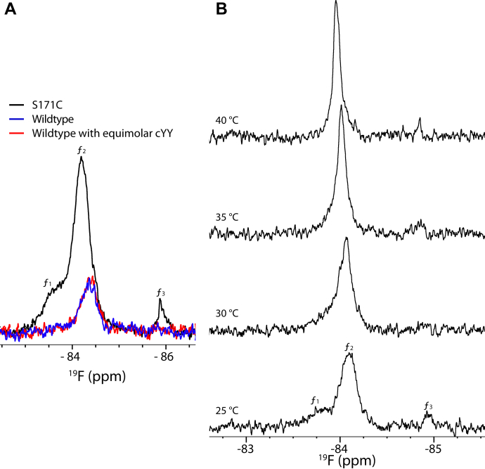 Figure 2