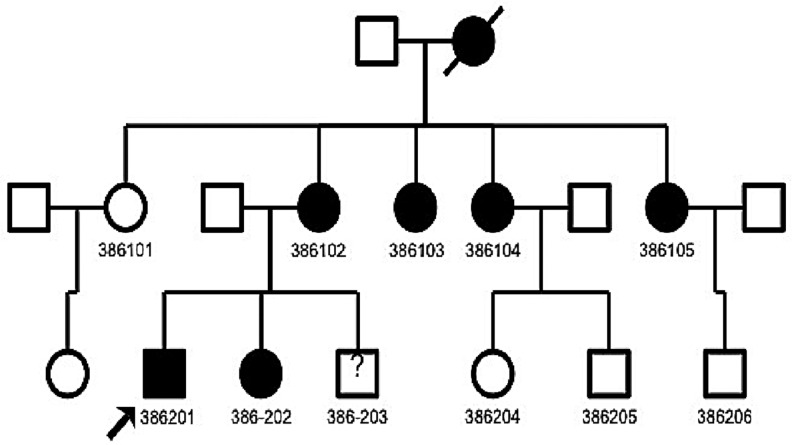 FIG. 1.