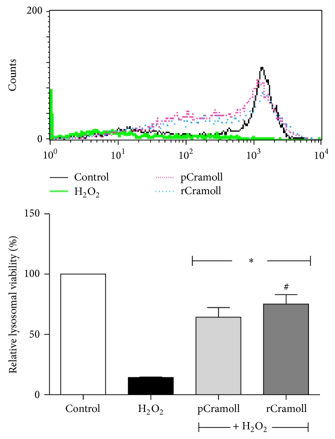 Figure 6