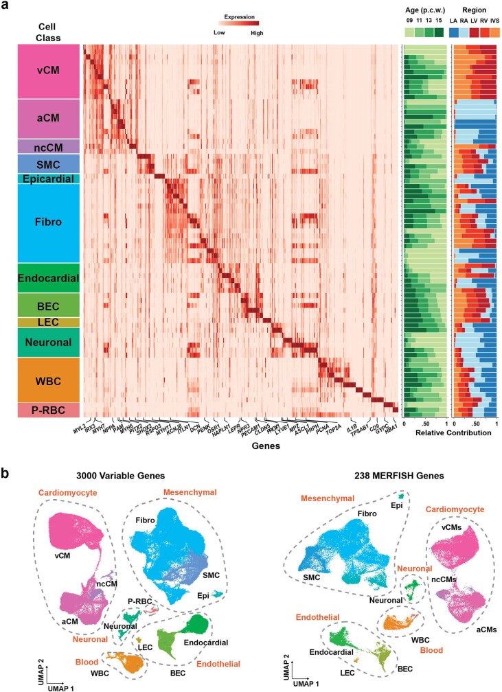 Extended Data Fig. 1