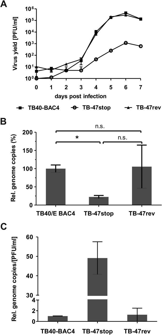 FIG 3