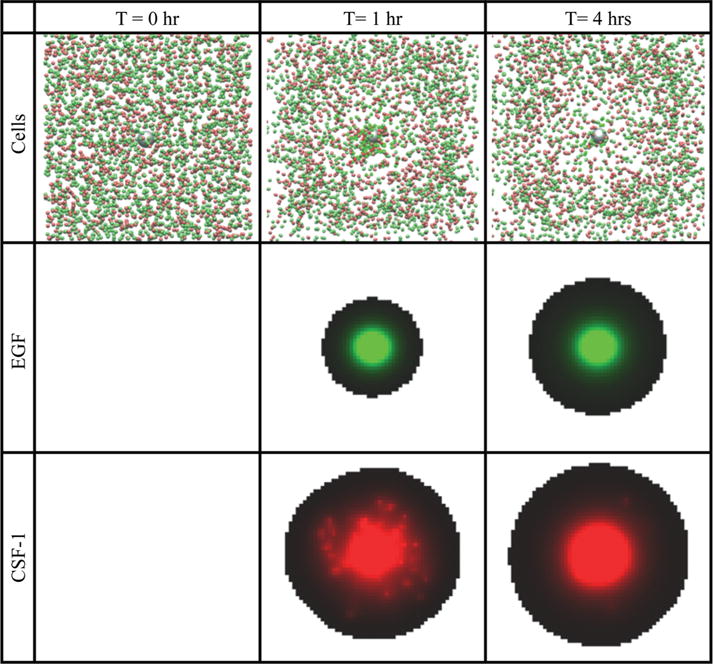 Fig. 8