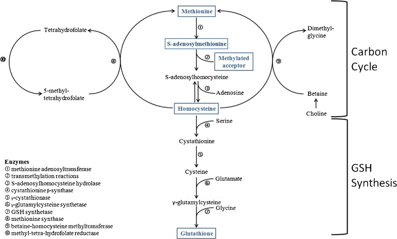 Fig. 2