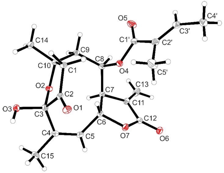 Figure 2