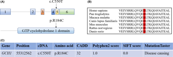 FIGURE 1