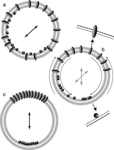 Figure 10.