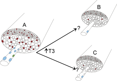 Figure 10.