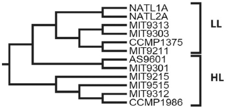 Figure 3.