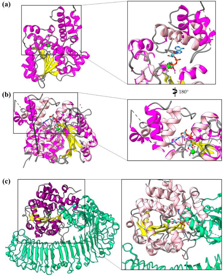 Figure 12