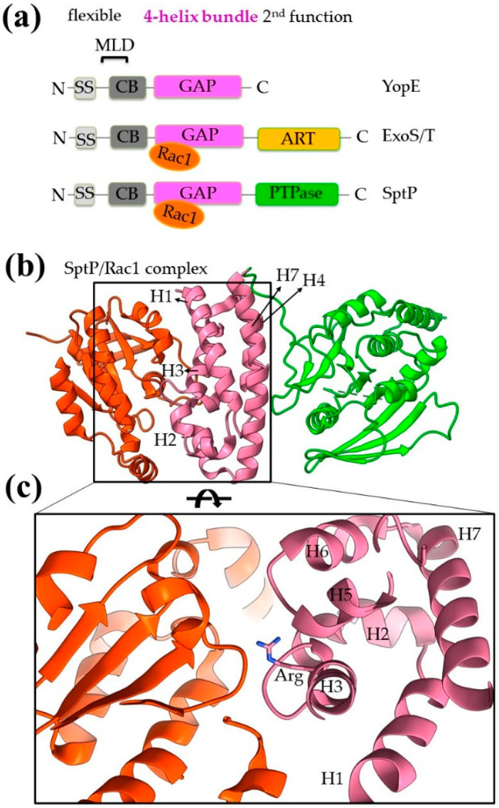 Figure 7