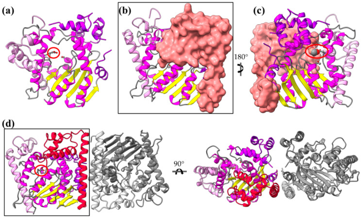 Figure 11