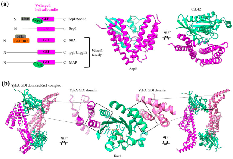 Figure 9