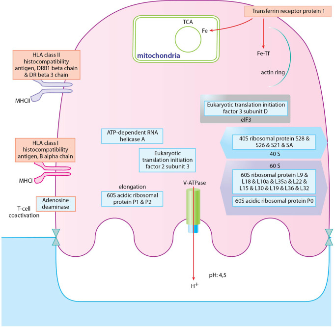 Figure 9