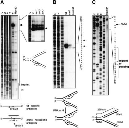 Figure 6.