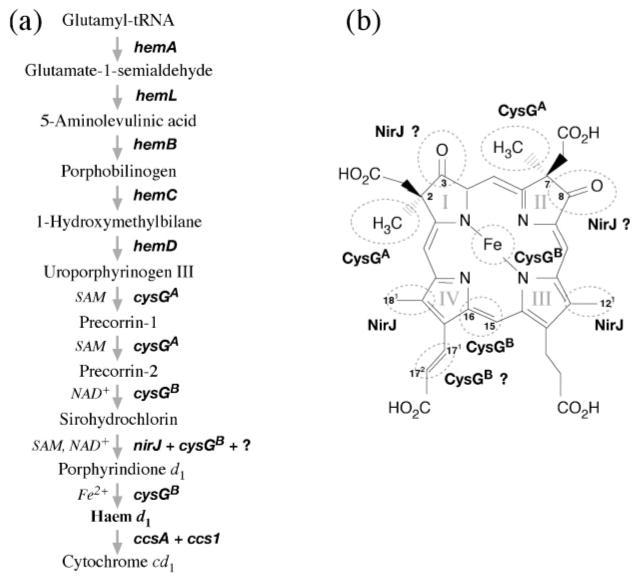 Fig. 8