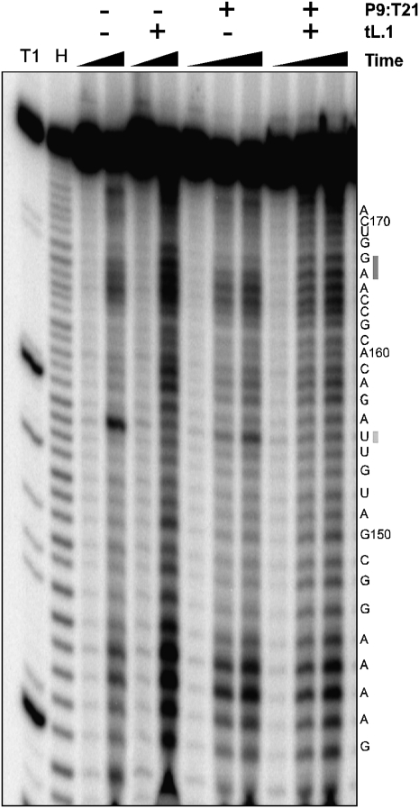 FIGURE 4.