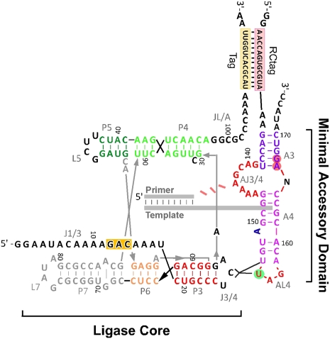 FIGURE 7.